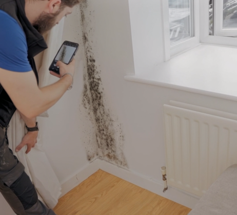 damp and mould checks