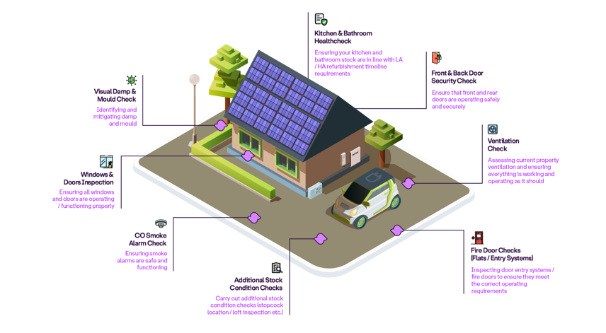 Healthy homes checks