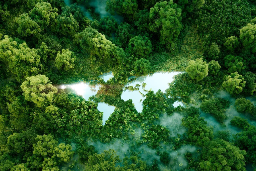 World Continents Form Large Lake Amids Lush Rainforest As Ecology Metaphopre Nature Conservation Climate Change Awareness
