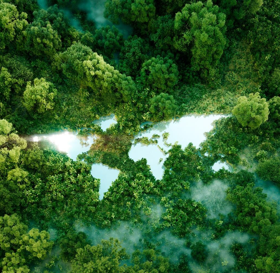 World Continents Form Large Lake Amids Lush Rainforest As Ecology Metaphopre Nature Conservation Climate Change Awareness